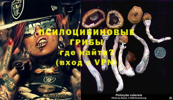 стаф Богородицк